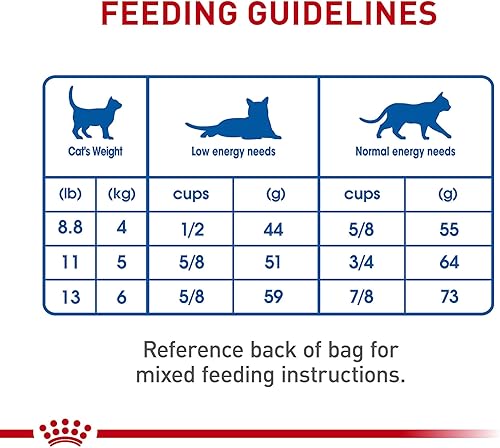 Miniatura 6 de Royal Canin Indoor 7+ Alimento seco para gatos adultos, bolsa de 5.5 libras