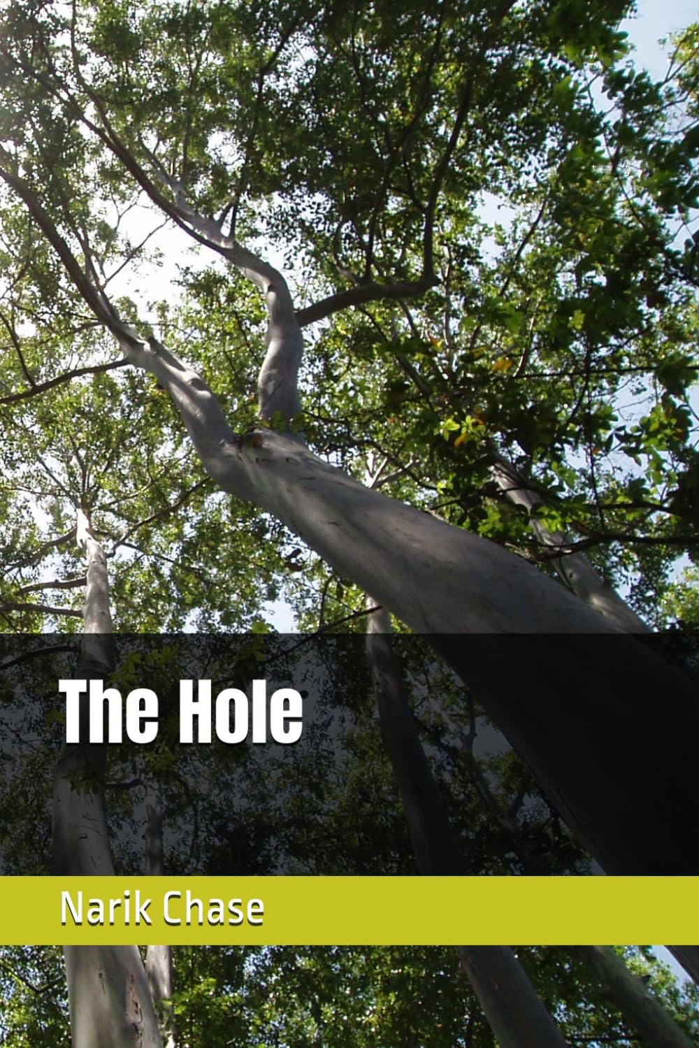 The Hole (The Curse of Creed Chronicles)