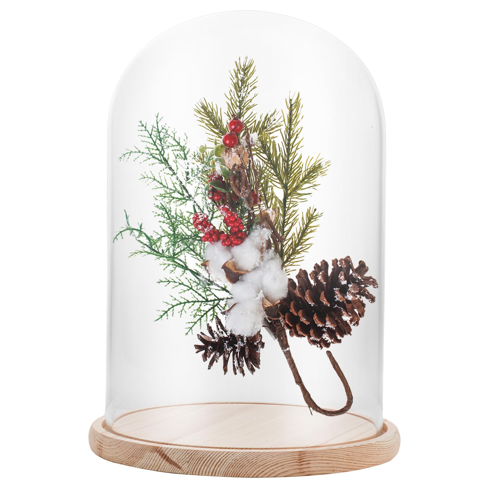 APACALI 1PCS Cloche en Verre avec Fond en Bois, Cloche décorative de 30 cm, Cloche en Verre Transparent, Cloche en Verre avec Fond pour lumières, décoration, Accessoires d'intérieur
