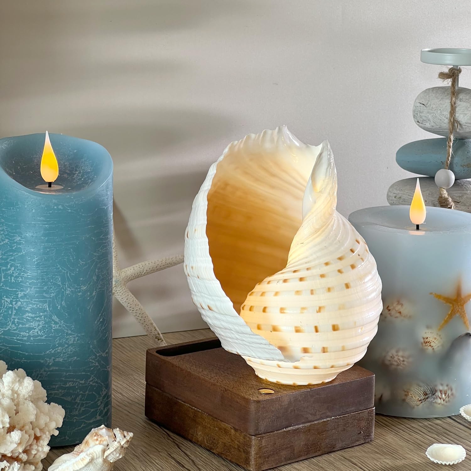MIYA LIFE Acoustic Conch Shell Amplifier Passive Smartphone Audio Amplifier & Unique Desk Decor (Spotted Harp Shell)