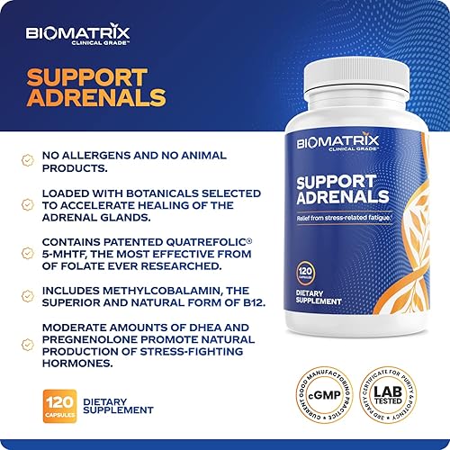 Miniatura 3 de Suplemento de fatiga suprarrenal, administrador de cortisol, 5-MTHF, vitaminas B, vitamina C, adaptógenos, bioflavonoides, DHEA, inositol,
