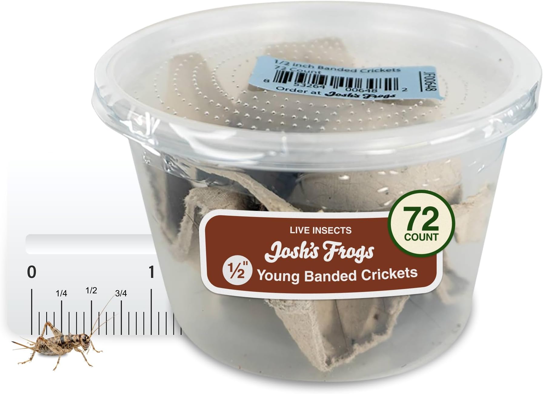 Josh's Frogs 1/2" Young Banded Feeder Crickets for Pets (72 Count)