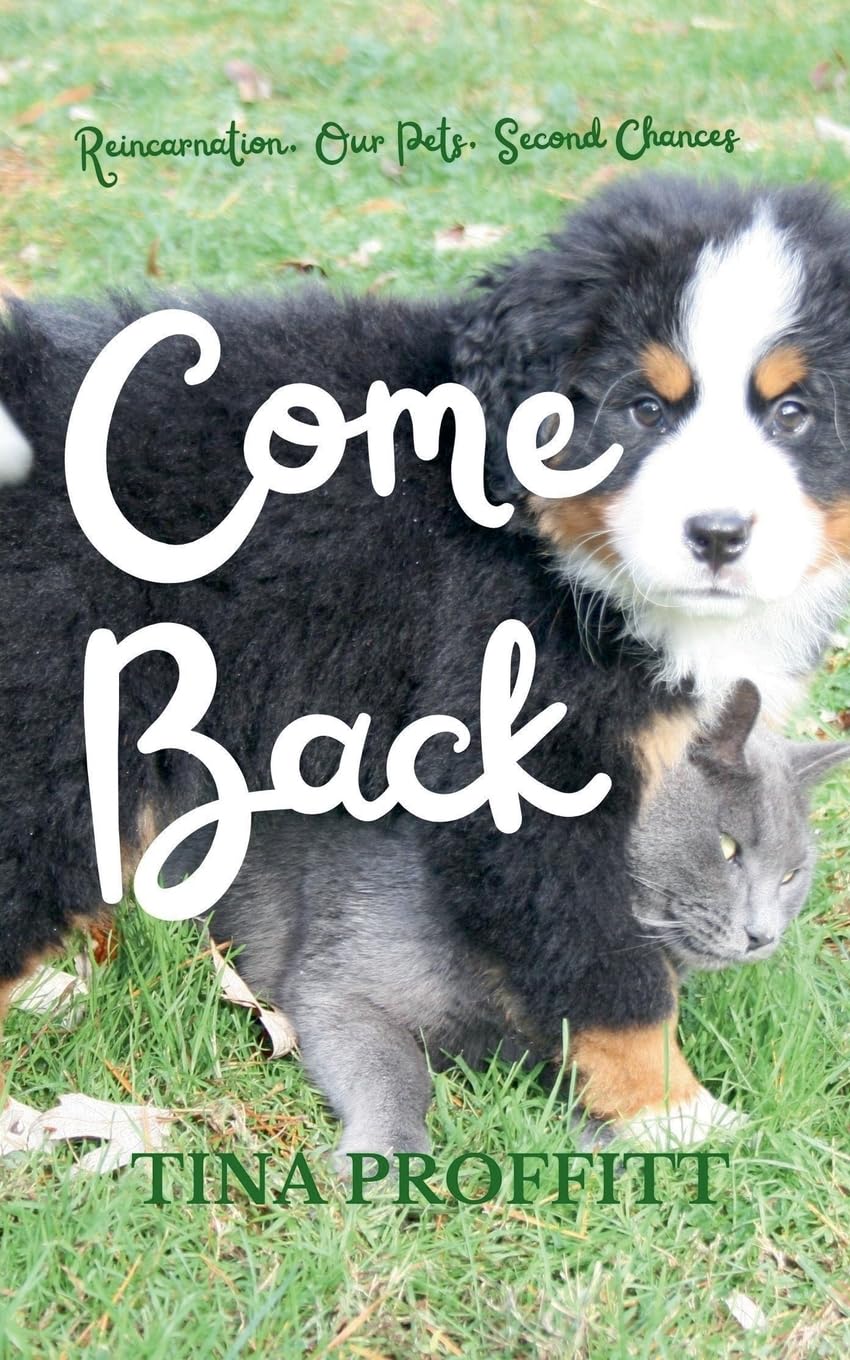 Come Back