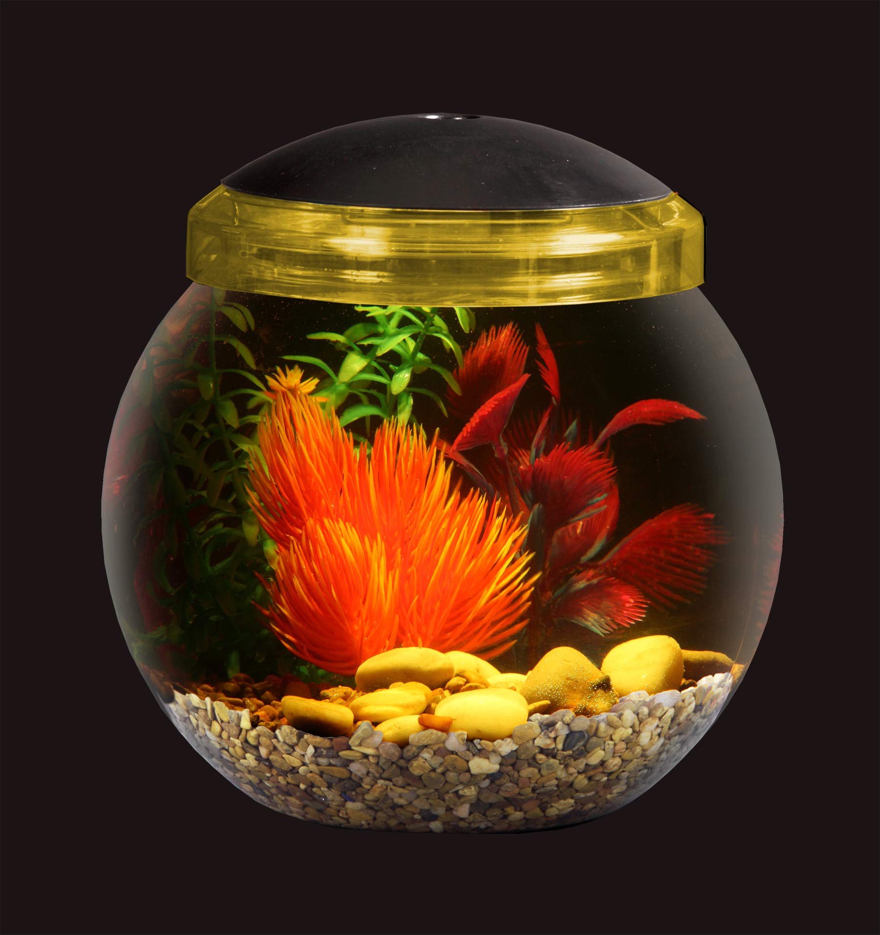Koller Products 1Gallon Fish Bowl with LED Lighting CrystalClear
