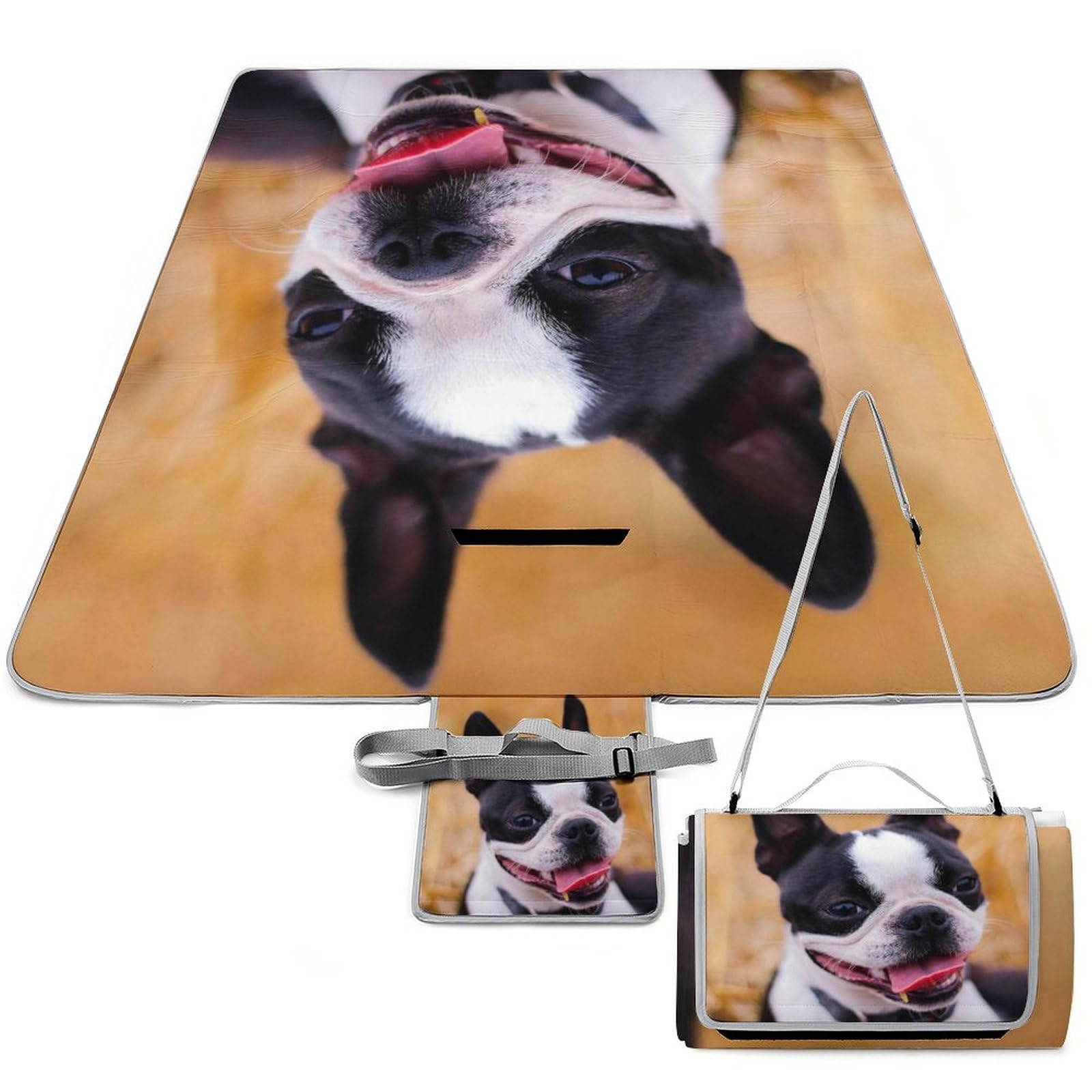 Couverture de pique-nique Boston Terrier 148x148 cm étanche avec poignée