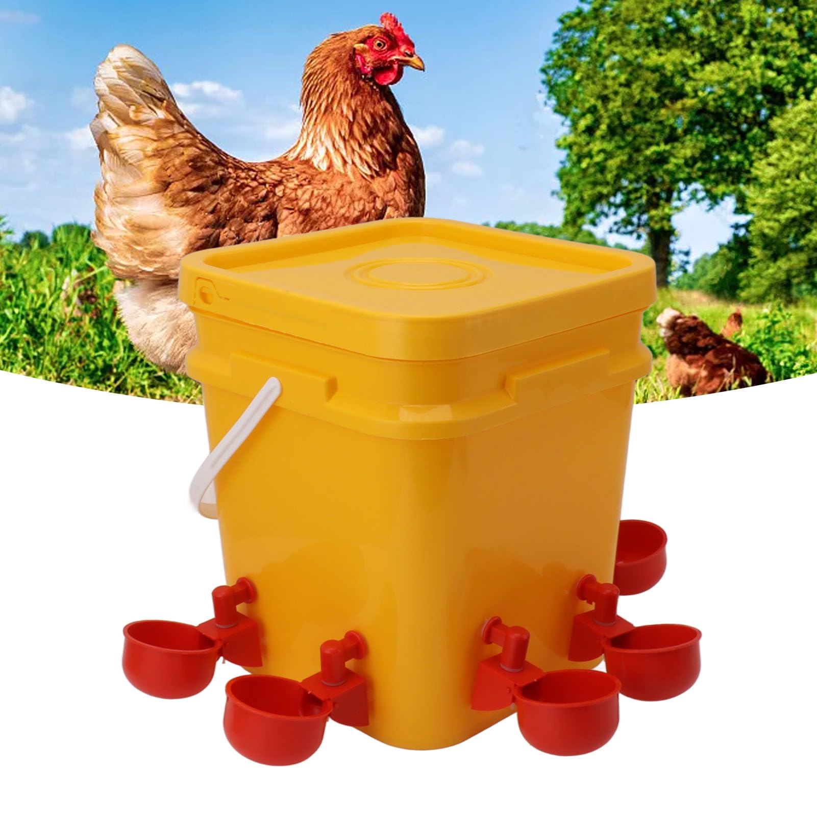 Bebedero Automático para Pollos, Equipo para Beber, Bebedero para Aves de Corral, Ganso, Pato, Barril, Taza para Cría de Pollos, Bebederos (Cubo + Tazón Azul Grande + Tornillos