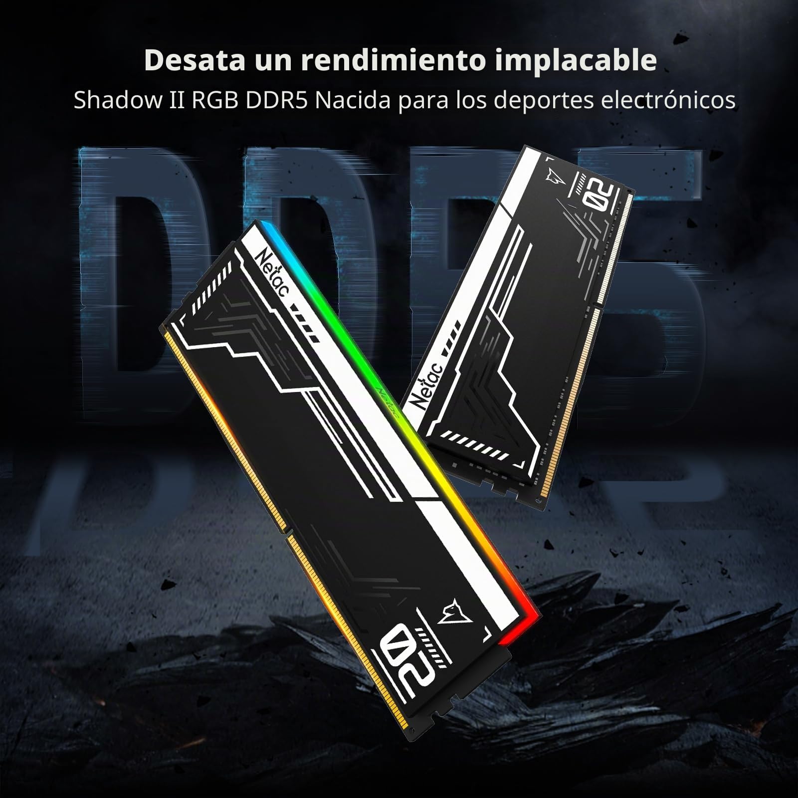 Netac Memoria RAM DDR5 RGB de 32 GB (2 x 16 GB) 6400 MHz (PC5-51200) CL32, para ordenador de sobremesa para XMP 3.0, color negro