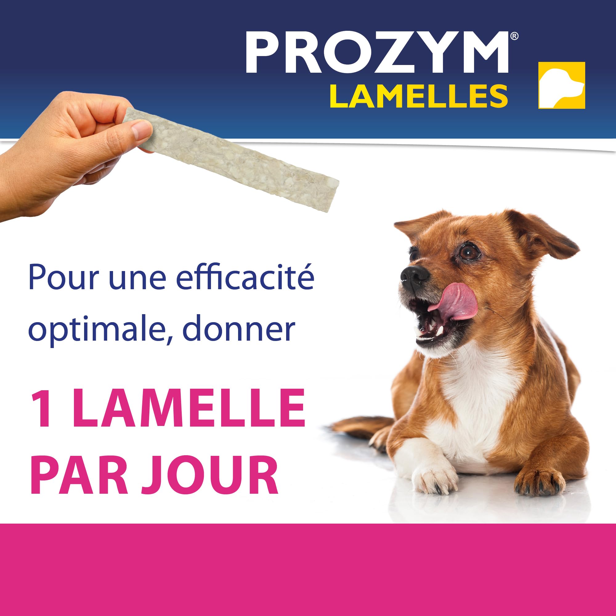 Prozym 15 Lamelles pour Chiens - Soin Dentaire à mâcher - N°1 chez Les vétérinaires - Haleine fraîche - Anti-tartre - Anti-Plaque - Gencives saines (L)
