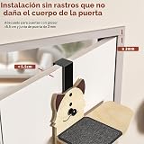 Ver la foto 8