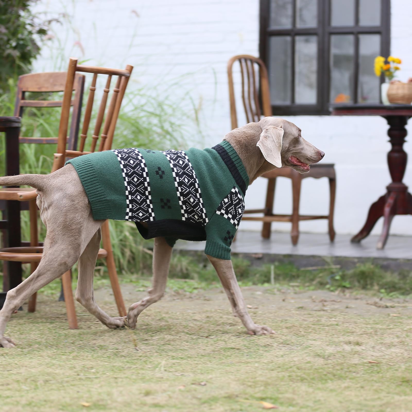 ROZKITCH Maglioni per cani extra large per cani femminili, elastico per cani, maglione natalizio con gambe anteriori per prevenire il freddo all'aperto, per animali domestici giganti in inverno e