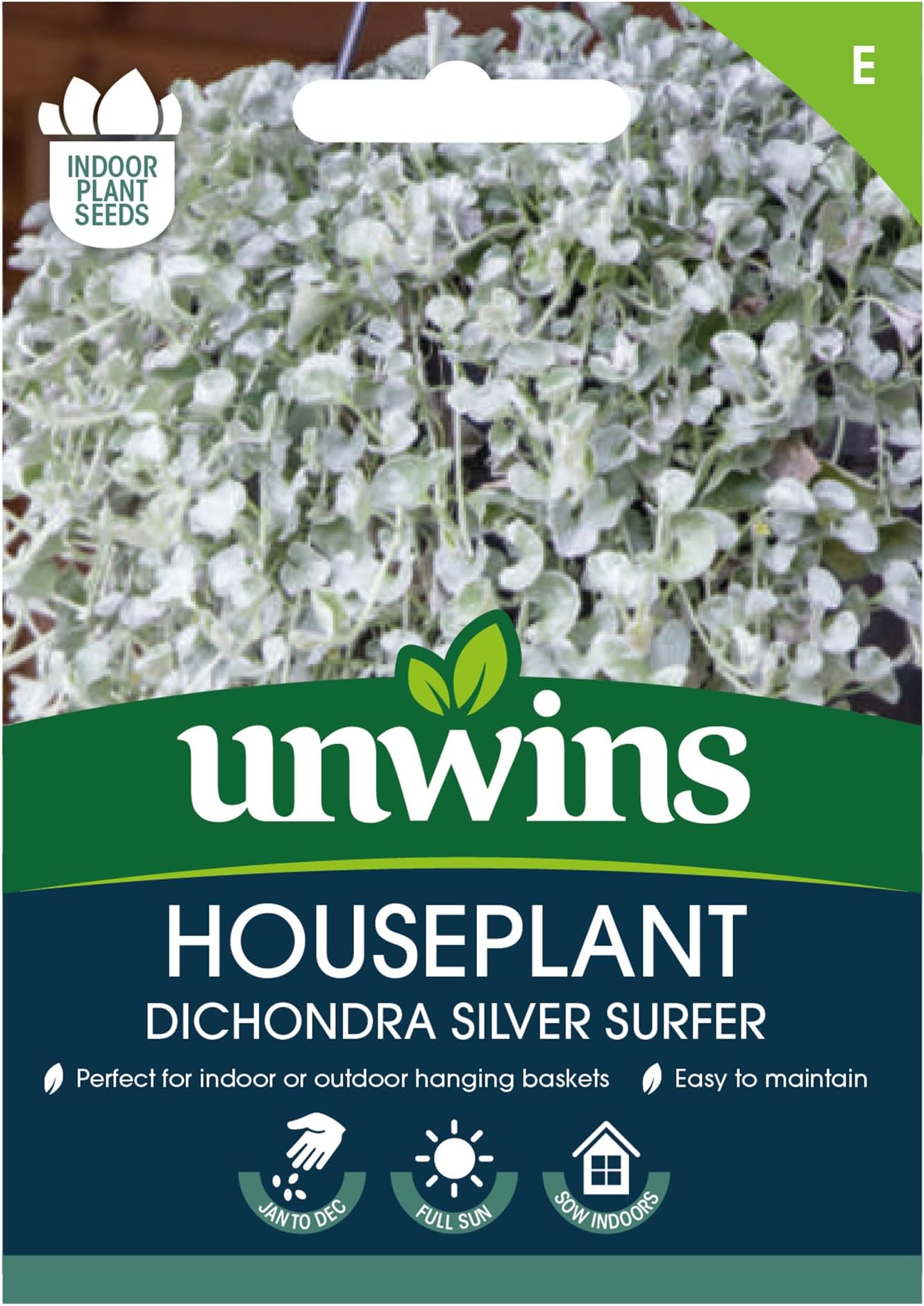 Houseplant Dichondra Silver Surfer