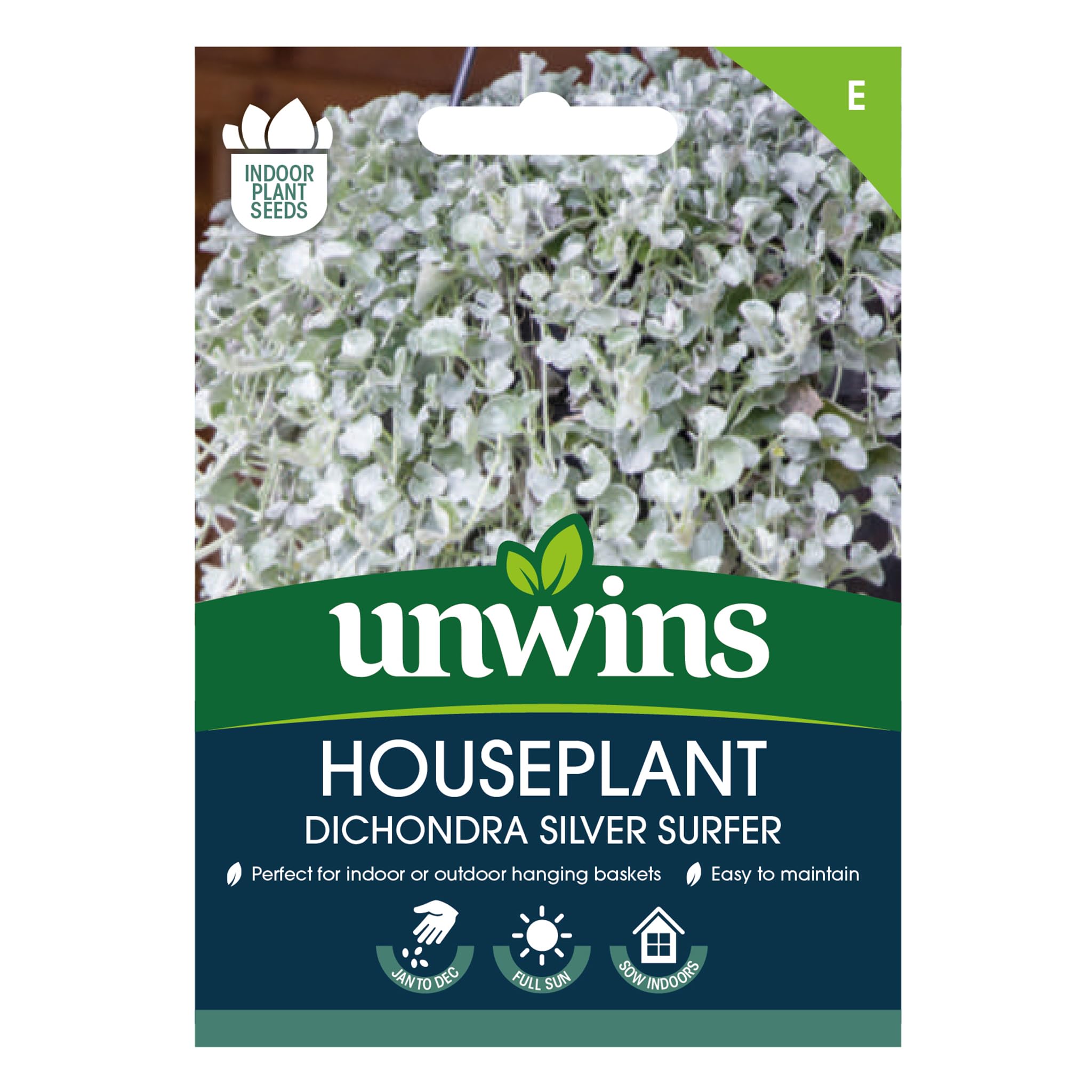 Houseplant Dichondra Silver Surfer