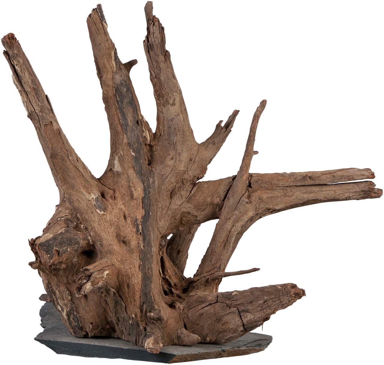 Sera 32361 Scaper Wood M (Piece from 18 to 20 cm) Natural Wood Decoration for Aquarium Decoration Aquascaping