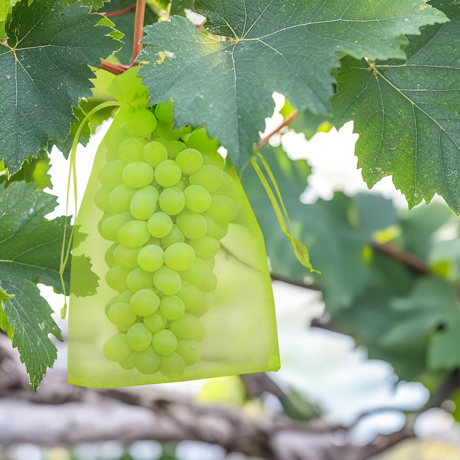 KINGKAKE 50Stück 20x30cm Traubenschutzbeutel Grün Fruchtschutzbeutel mit Kordelzug Organzabeutel Transparenter Netzbeutel für Garten Zum Verhindern Wespen Fruchtfliegen Insekt Vögel