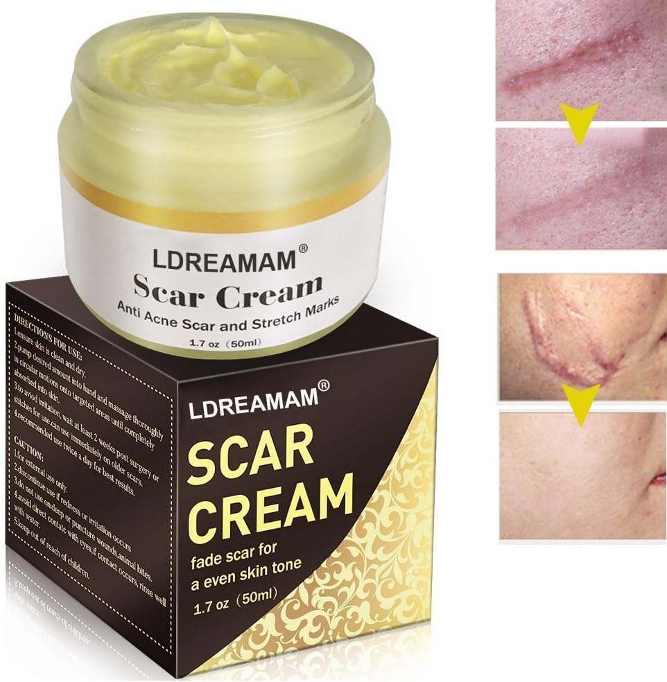 EARLYBIRD SAVINGS 2PCS TSA Combination Travel Luggage Padlock Coded Lock (Black 4-Dial)