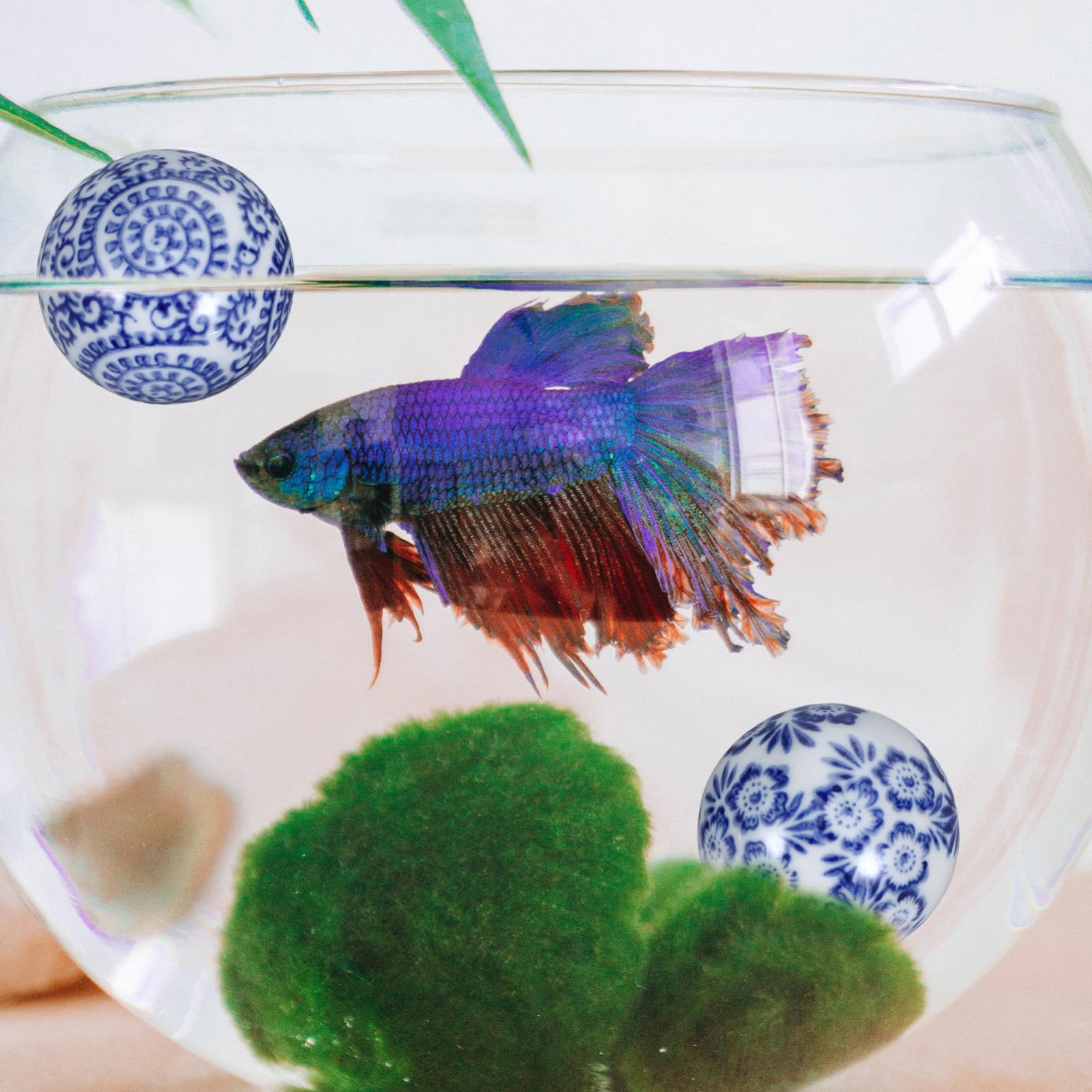 GLEAVI 3 Sätze Keramikschwimmer Moosball Dekorationen Für Aquarien Bezauberndes Aquarium-Ornament Schwebend Dekorativ Aquarium-Layout-Requisite Fisch Zubehör Zufällige Farbe 3 Stücke * 3