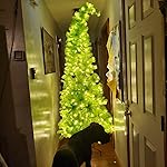 Review Image by Amazon Customer Amazon Customer