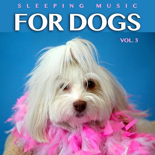 Calm Down Best Music To Calm Dogs 10 Best Calming Dog Treats