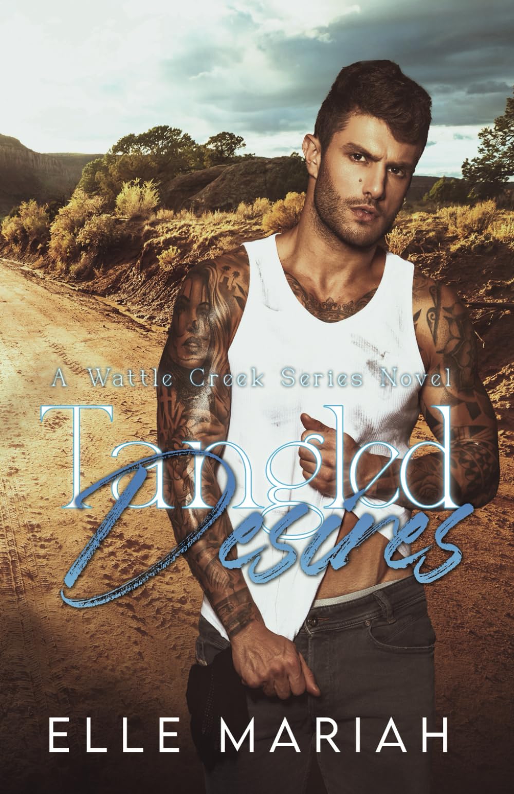 Tangled Desires: A Dislike To Love Small Town Romance (Wattle Creek Series)