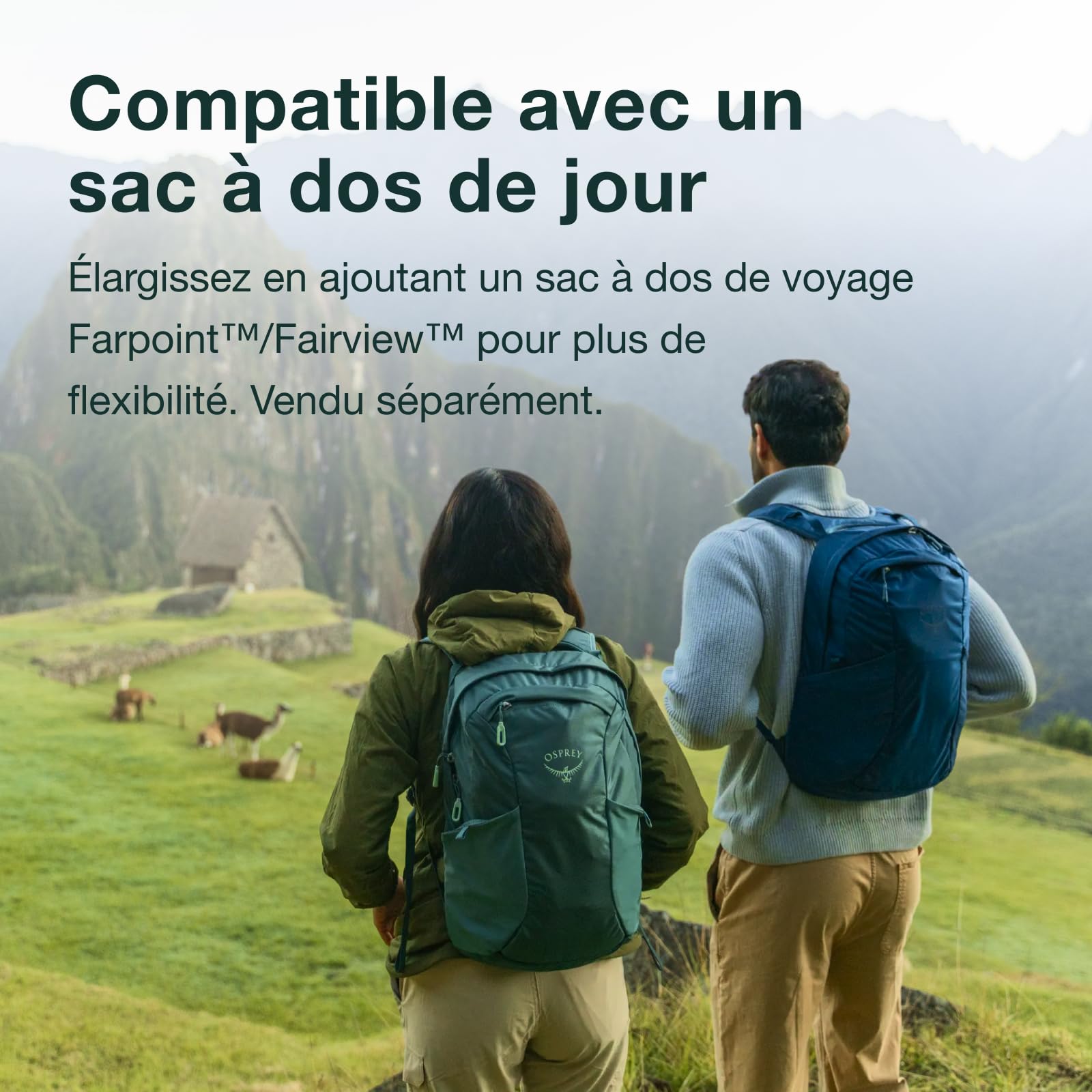 Osprey Farpoint Sac de voyage homme, 40L, Black