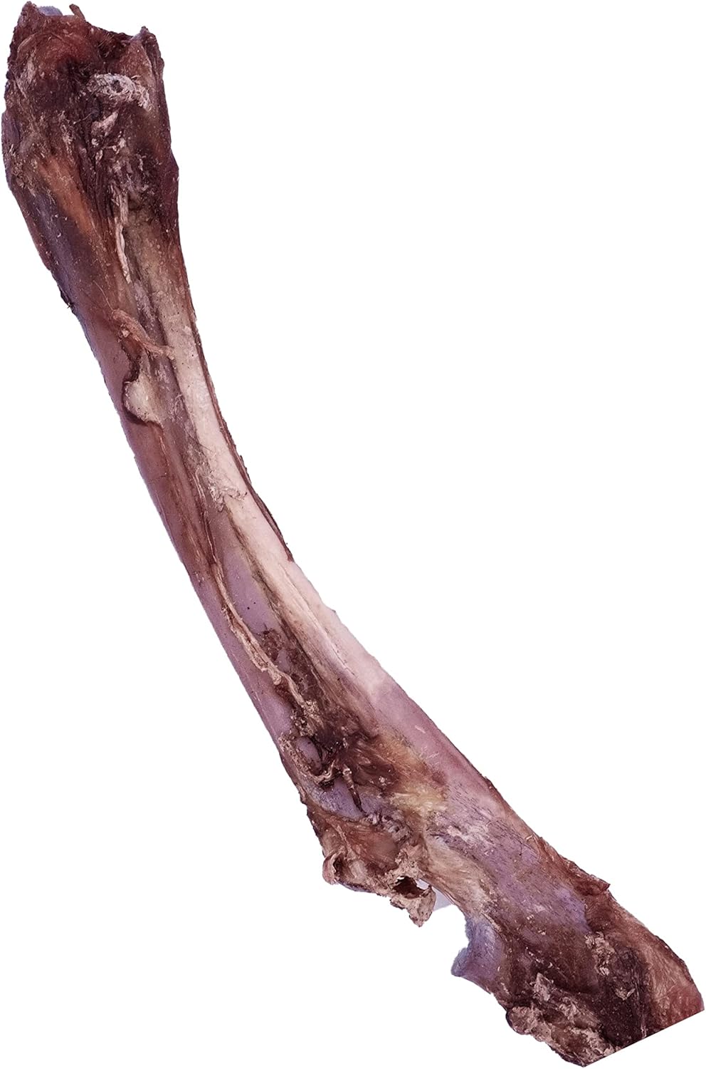 鹿レッグボーン 宮崎県 霧島産 無添加 あし骨 特大 1本 鹿骨 ジビエ 歯磨きガム 保存料 71 Off の代用品としても 大型犬 小型犬のおやつ 中型犬 添加物不使用 犬用