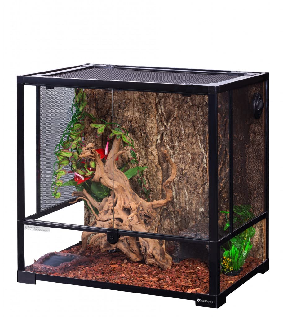 Swell Reptiles Glass Terrarium/Vivarium Tank | Easy Access Port for Access for Tiding Cables with Breathable Mesh Top Lid for Optimal Ventilation (60x45x60cm)
