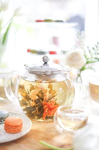 Miniatura 4 de Teabloom Tetera y tetera de vidrio todo en uno – Tetera de vidrio de borosilicato resistente al calor con infusor de té suelto de acero inoxidable