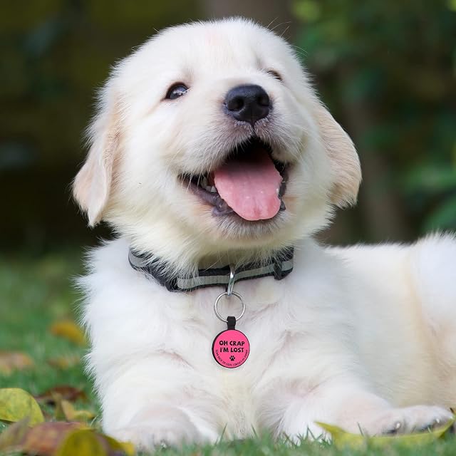 Foto 3 de 6 de MYLUCKYTAG ID de silicona silenciosa para mascotas con código QR