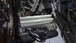 Review Image by A. Choi