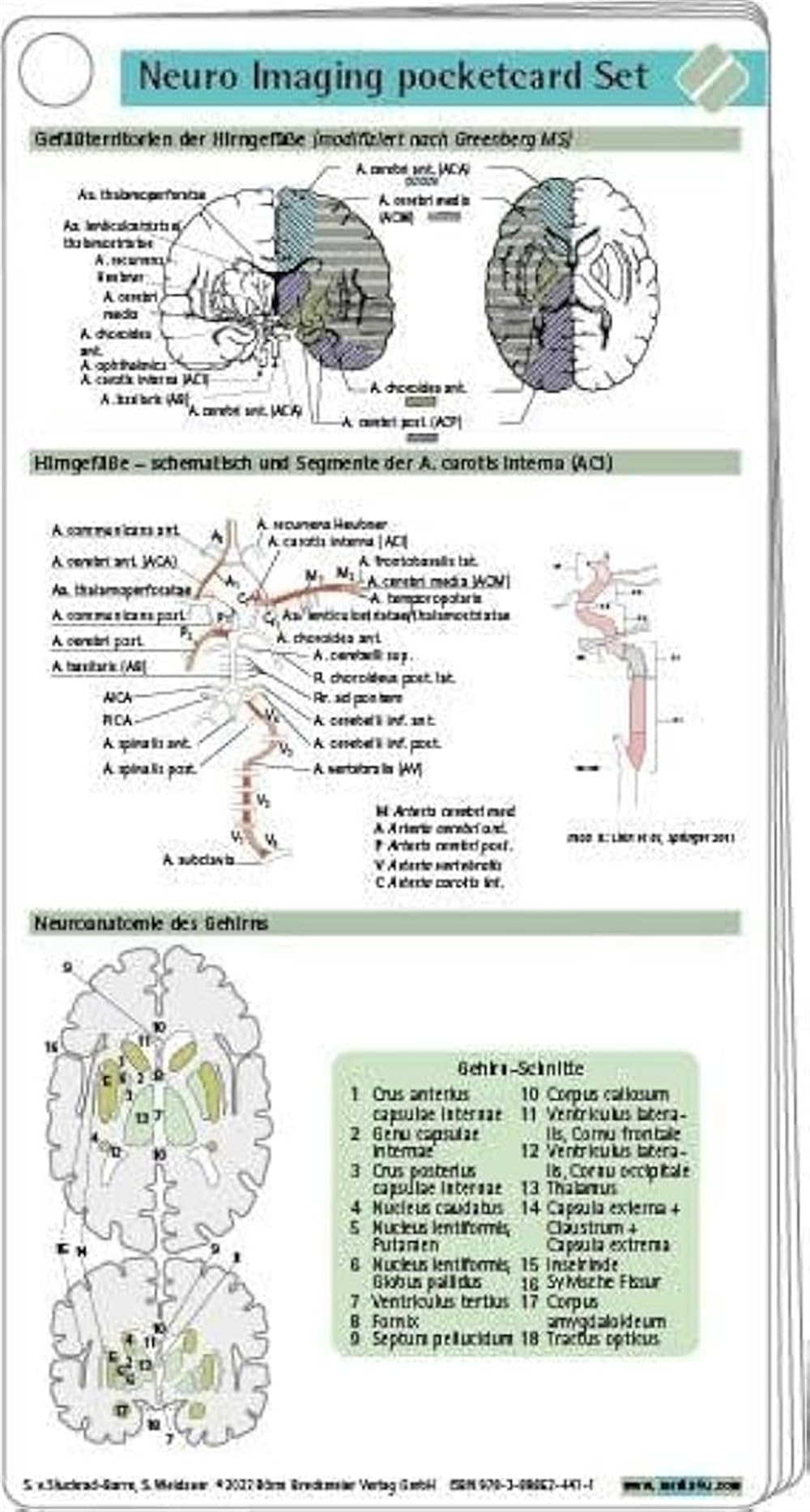 Neuro Imaging pocketcard Set