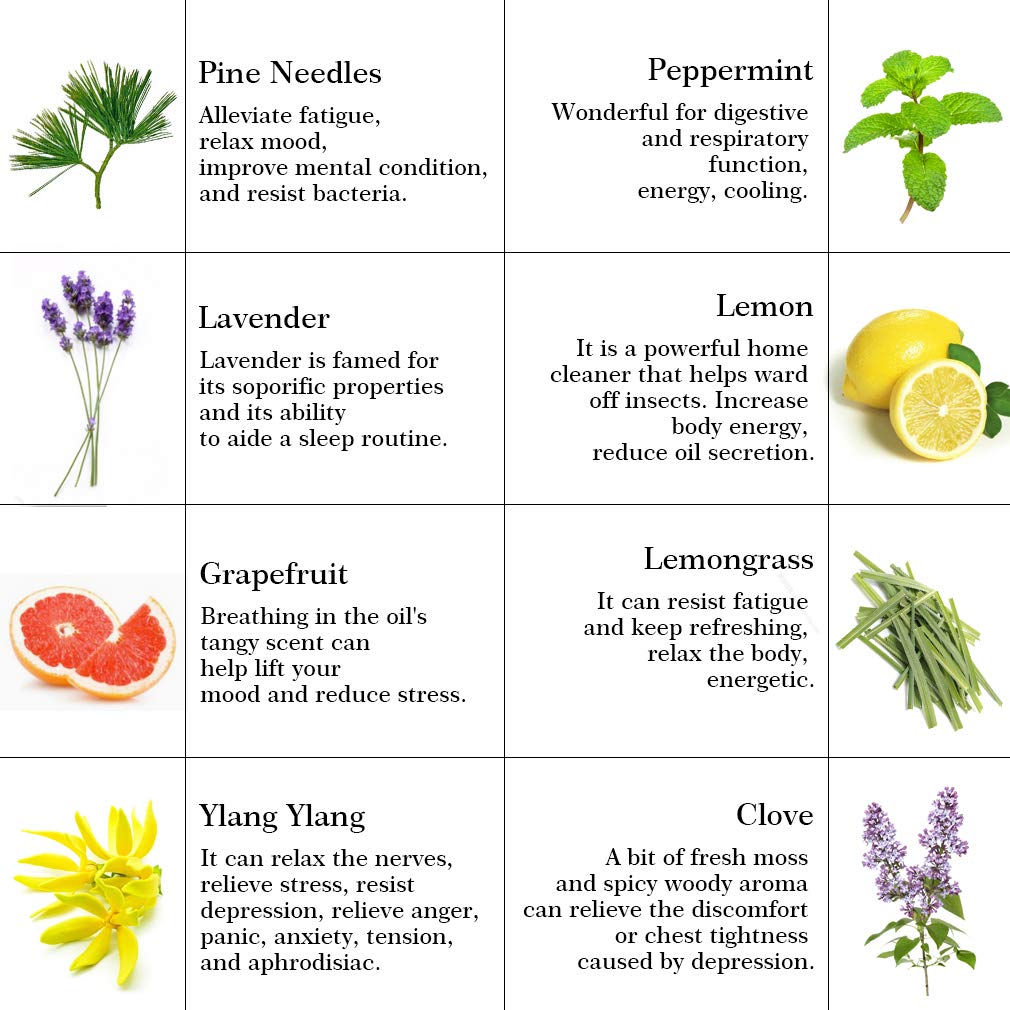 100% reines Lavendel ätherisches Öl Set für Diffusor, Aromatherapie Zitrone ätherisches Öl Kit, 8x10ml ätherische Öle Set - Pfefferminze, Kiefer Nadeln, Nelkenöle...für Massage