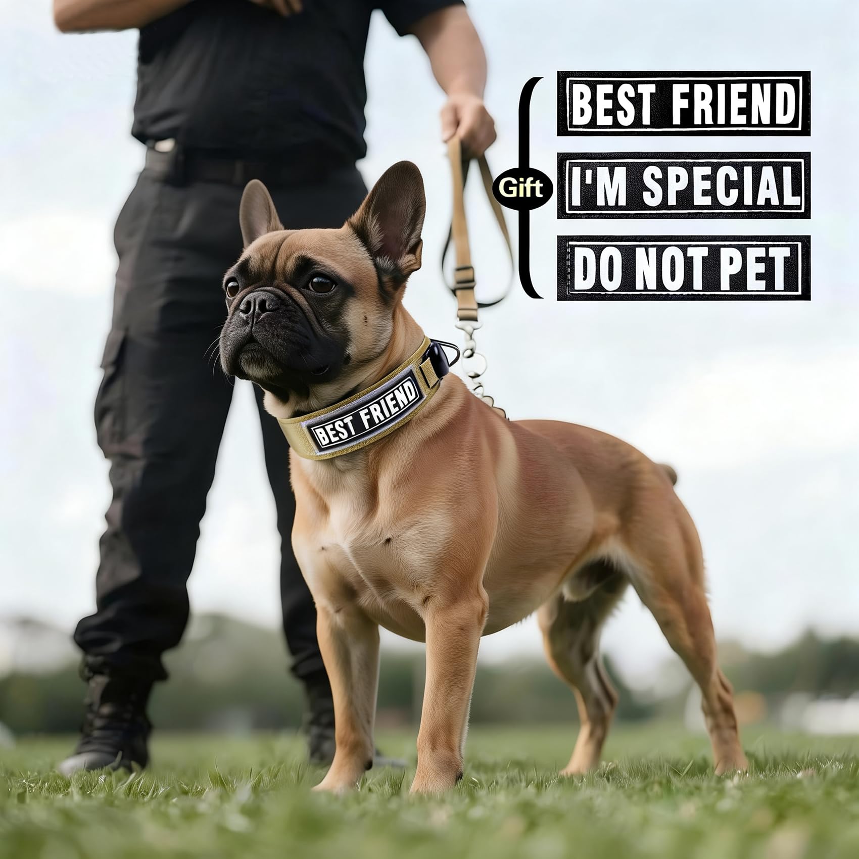 AirTag, Collare tattico militare per cani, largo 5,1 cm, con supporto AirTag e 3 toppe per animali domestici, morbido collare imbottito in nylon impermeabile con fibbia in metallo, per cani