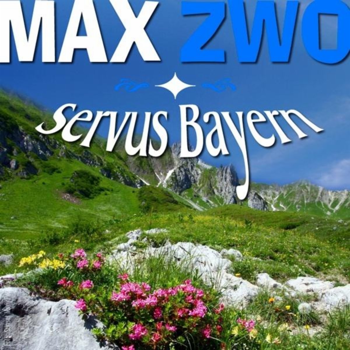 Max Zwo
