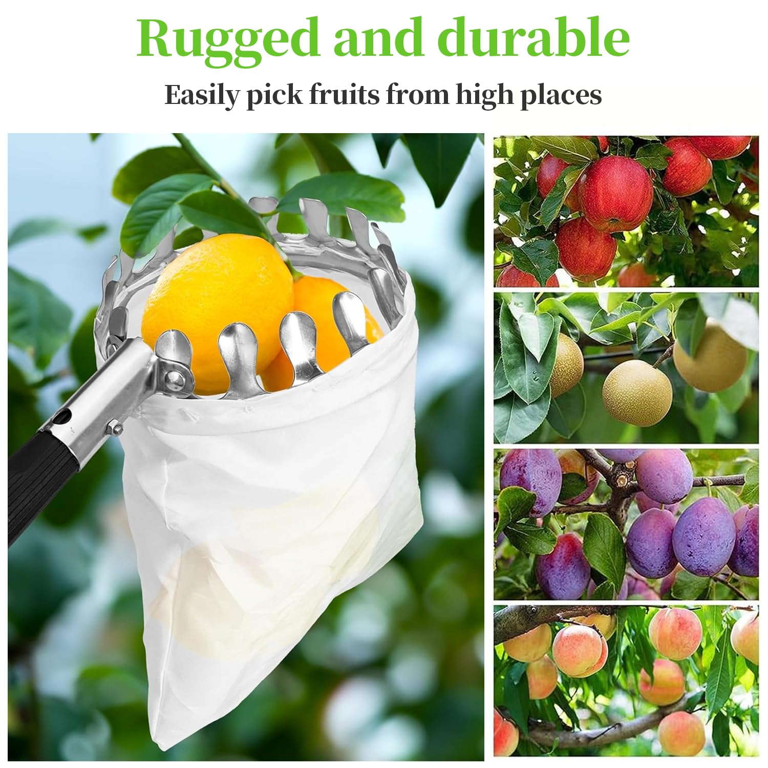 Recogedor de Frutas, 4.2M Recogedor de Frutas Telescopico,Inoxidable Ajustable Recogedor de Frutas Recoge Frutas de árboles con Bolsa de Algodón Engrosada para Manzana Cereza Higo Mango etc