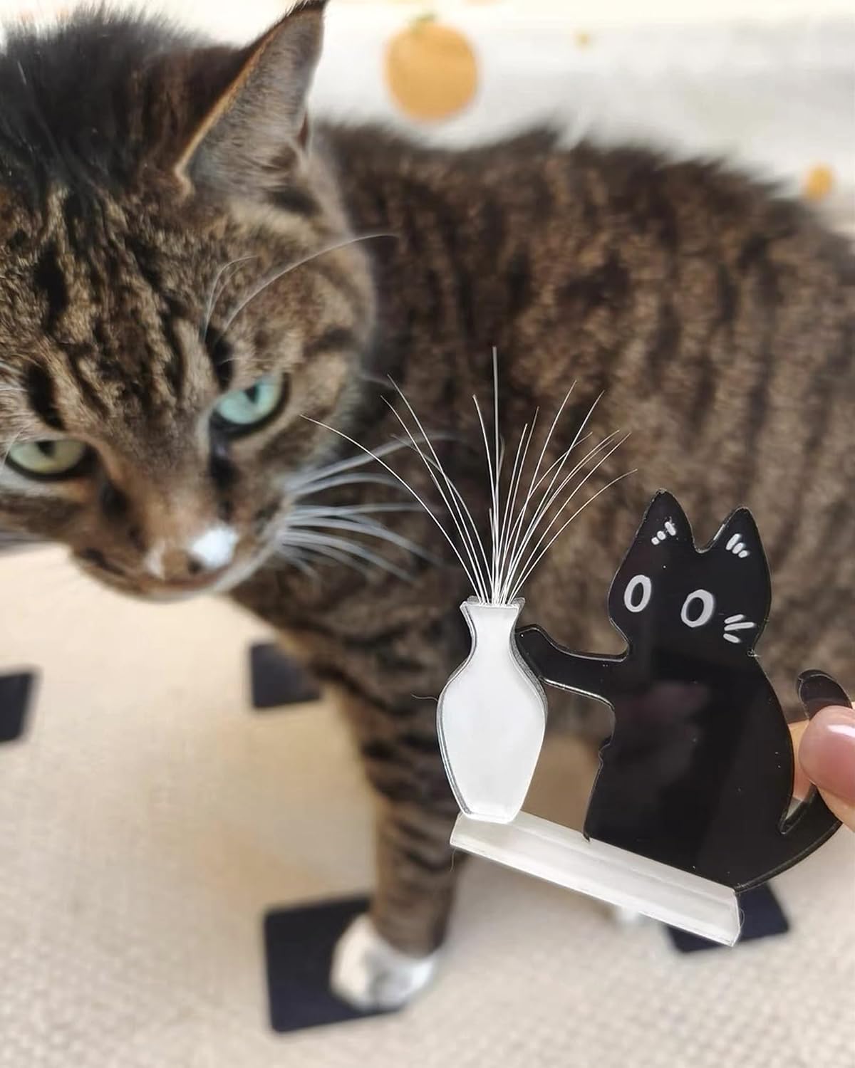 4Pcs Cat Whisker Keepsake Magnet Acrylic Pet Memorial Decor Vase Refrigerator Ornament Cute Desk Wall Decor Cat Fur Holder (4 Black)