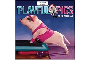 TF Publishing, Playful Pigs 2024 Mini Wall Calendar