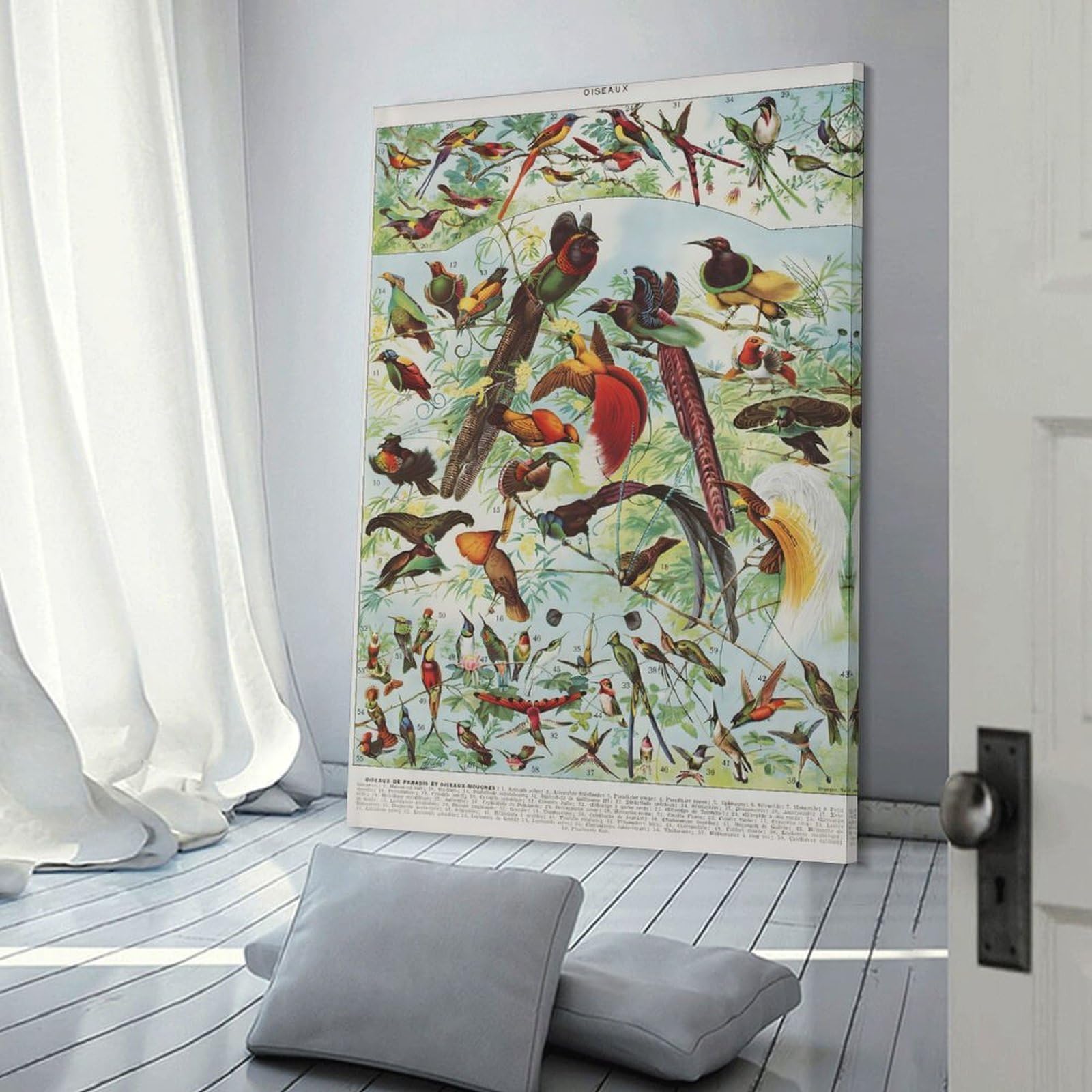 Junmoney Oiseaux Birds Wall Picture Print 08x12inch(20x30cm), for Lounge Decor, Offices Or Entryway Styling, Versatile Wall Decor for Many Rooms