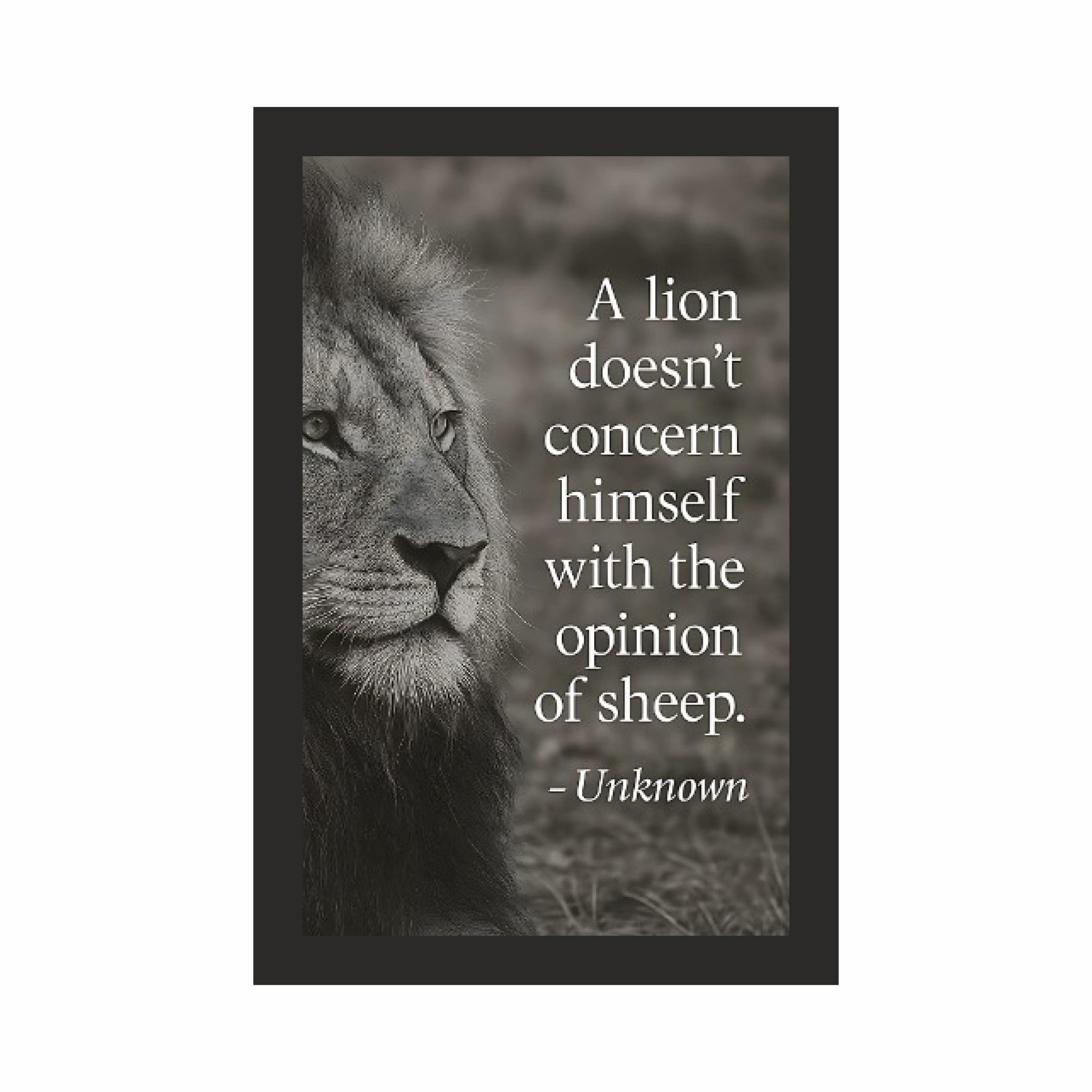 Lion Opinion of Sheep Quote Wall Art Photo Frame A4 Black – view 3