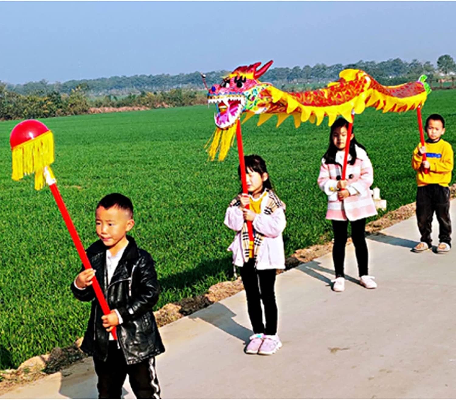 Ruban de danse Dragon en soie pour spectacles et défilés