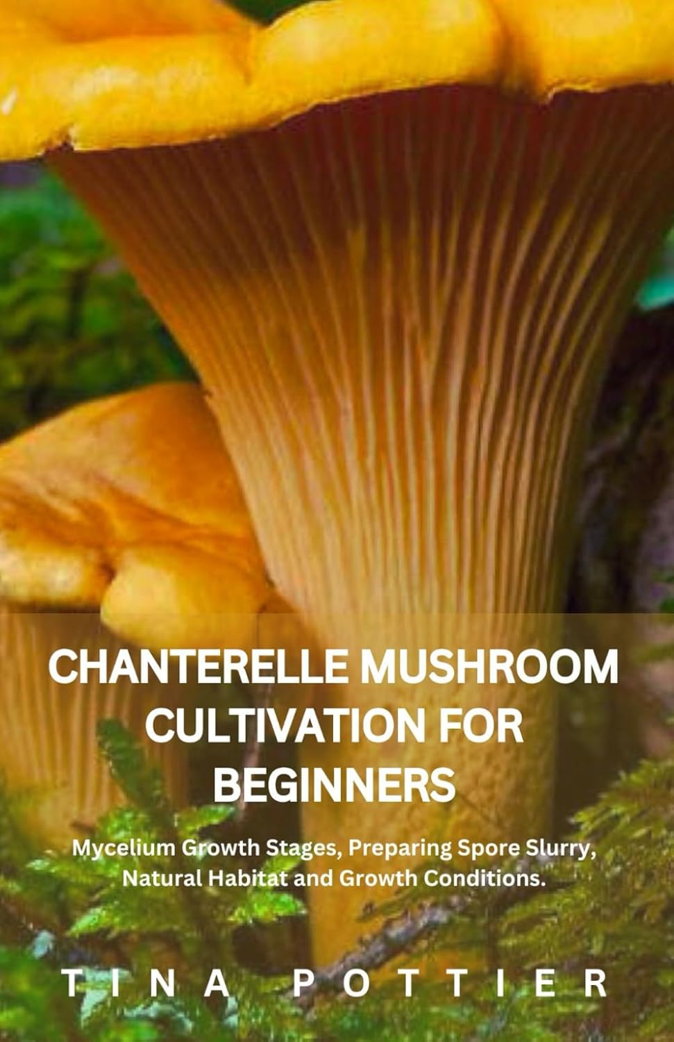 Chanterelle Mushroom Cultivation For beginners: Mycelium Growth Stages, Preparing Spore Slurry, Natural Habitat and Growth Conditions. (The Mushroom Cultivator's Handbook Series)