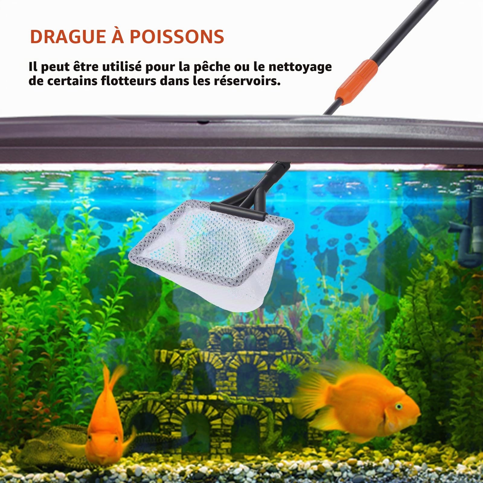 Coolty Outils de Nettoyage D'aquarium 6 en 1 avec Long Manche Télescopique, Grattoir, Filet de Pêche, Brosse de Nettoyage éponge, Râteau de Sable pour Le Nettoyage des Algues dans Les Aquariums