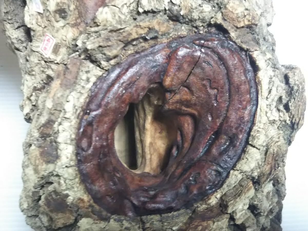 三本木 森兵衛☆新品入手困難A+Ωクラフトウッド 森兵衛 三本木 A+Ω