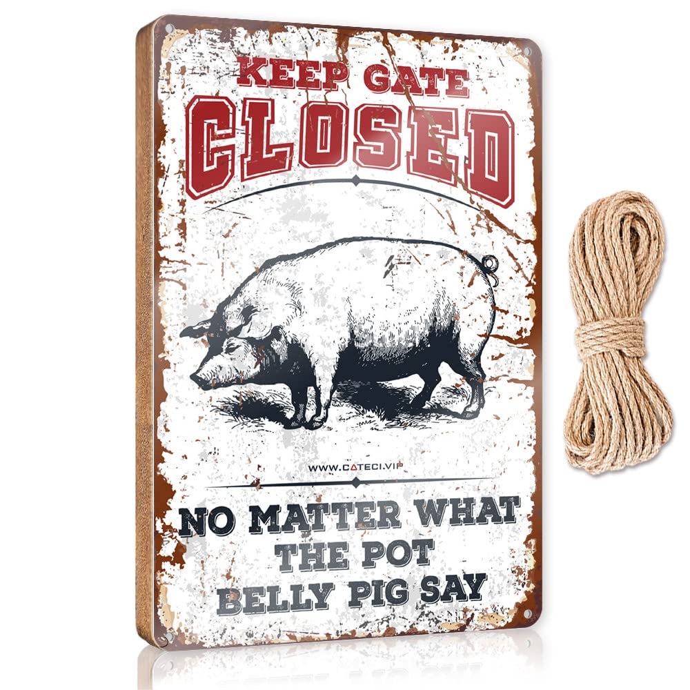 DTHA Summer Door Sign Keep Gate Closed No Matter What The Pot Belly Pig Say Wooden Sign Home Door Hanging Funny Signs For Bedroom