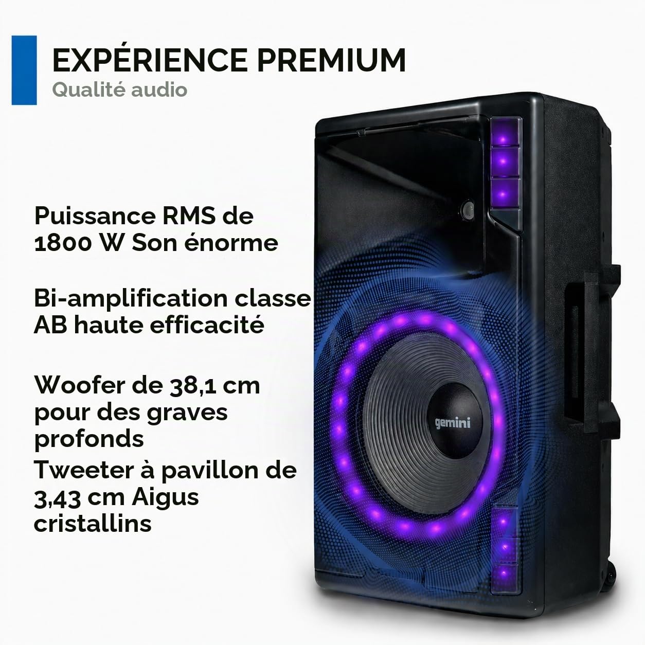 Gemini Sound GSP-L5500PK Pack d'enceintes PA alimentées 2200 W 38,1 cm