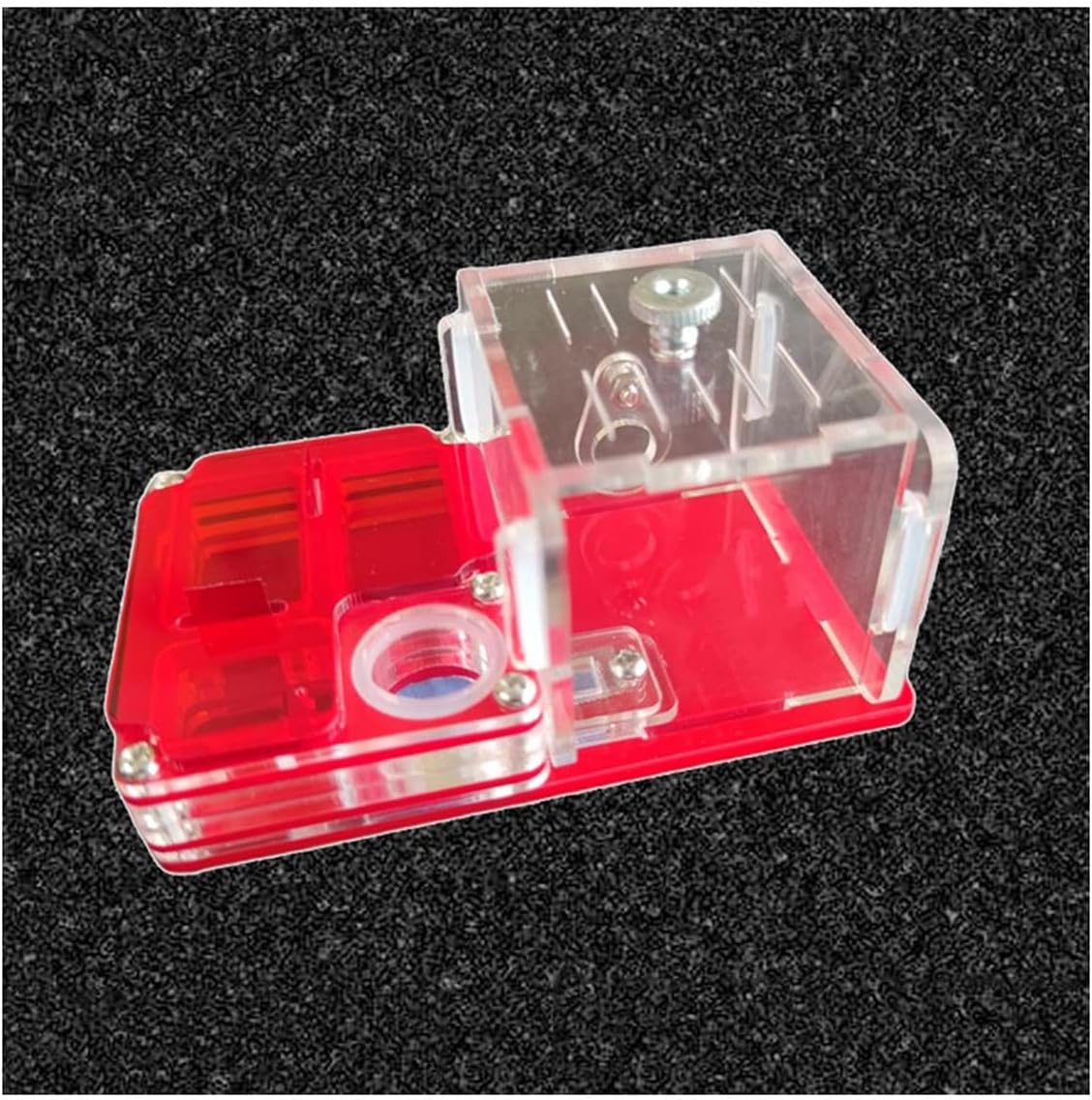 KXCR Ant Farm Small Acrylic Ant Farm Glass Tubes Ant Nest with Active Zone House Ant Feeding Box Insect Villa (Color : Red)