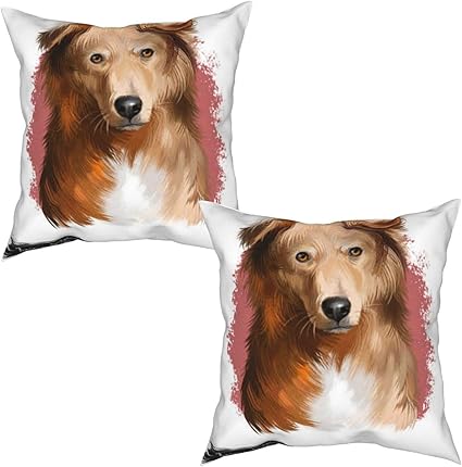 Amazon 枕カバー 正方形両面プリント バスクシェパード犬在来種犬のデジタルアートイラスト白いかわいい茶色の髪に分離 車のソファベッドのための 枕カバー 家の装飾 枕クッションカ クッションカバーを投げる ２枚セット X インチ 枕カバー ピローケース