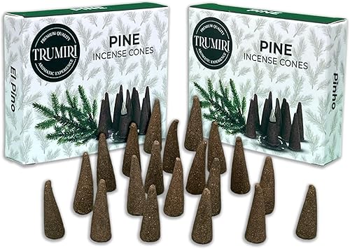 Conos de incienso de pino  Total de 20 conos de incienso  Paquete doble de 10 conos de insencia  Conos de incienso perfumados  Aromas de incienso
