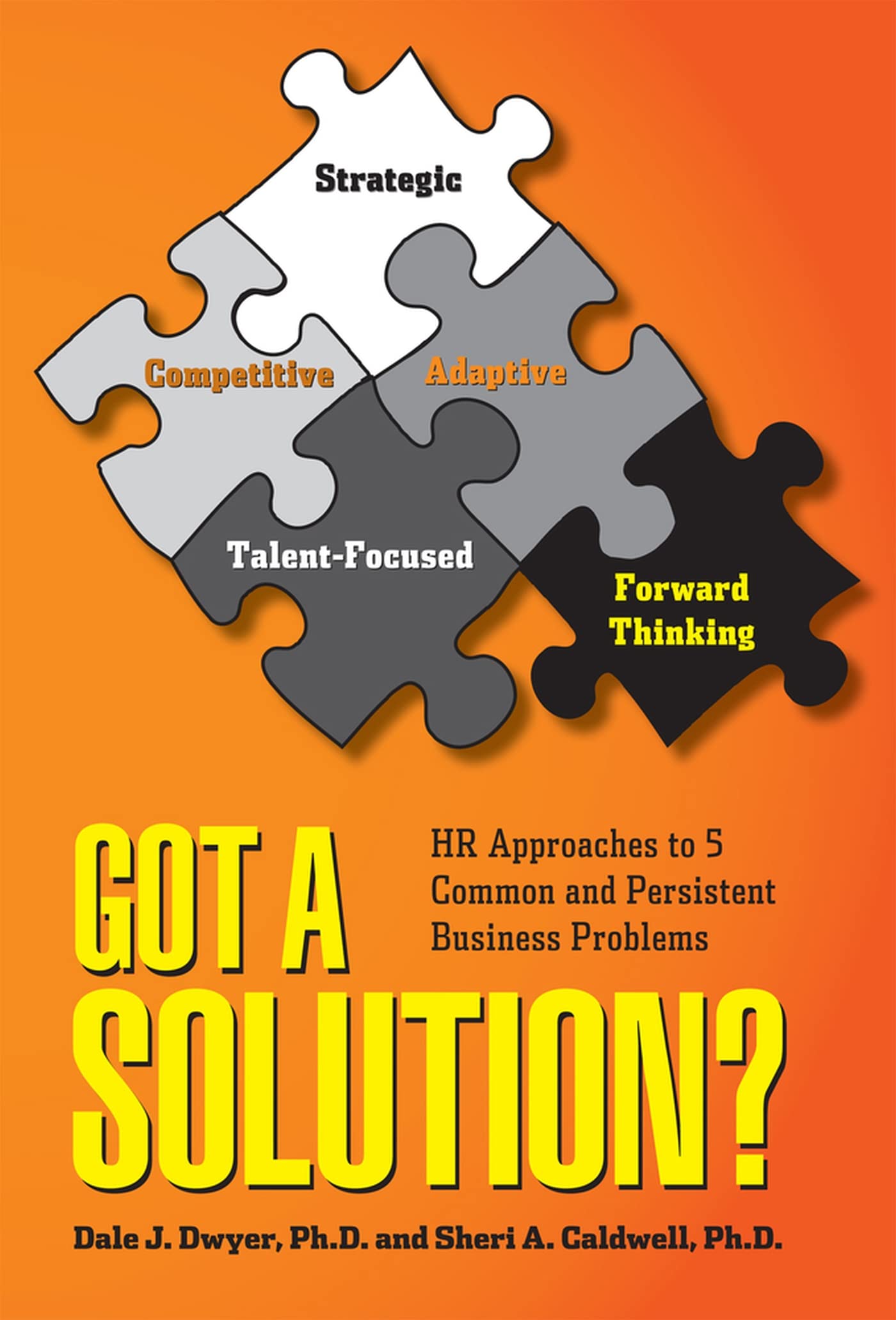 Buy Got a Solution?: HR Approaches to 5 Common and Persistent Business Problems — BookShops.in
