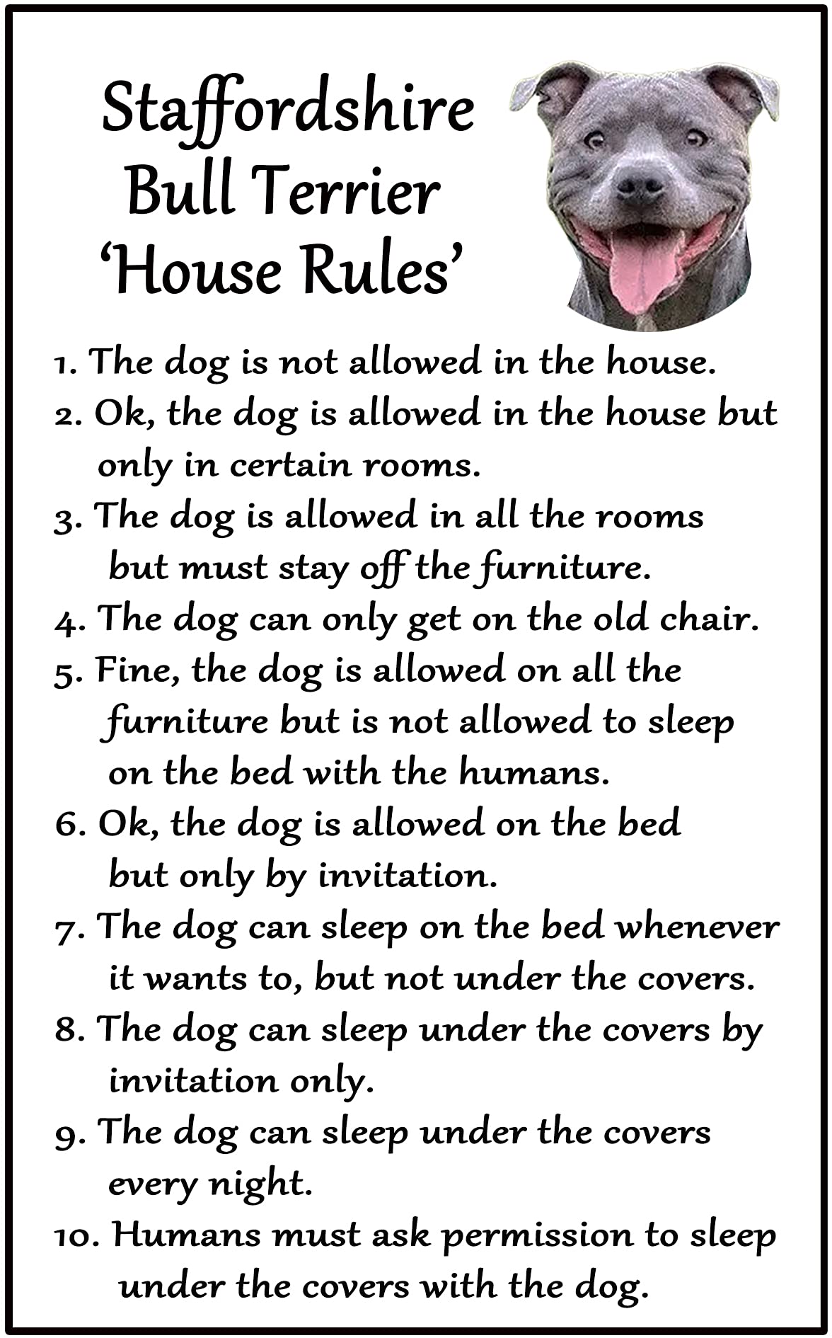 Fridge Magnets Blue Staffordshire Bull Terrier Staffy Dog Gift - House Rules - Large Fun Flexible Fridge Magnet- Size 16Cms X 10 Cms (Approx. 6" X4")