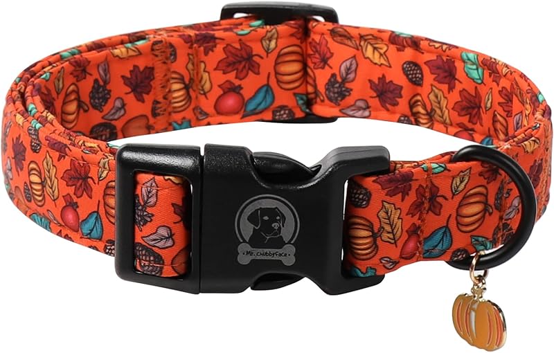 Coleira para Cães com Estampa de Abóbora Laranja de Halloween MR.CHUBBYFACE, X-Large